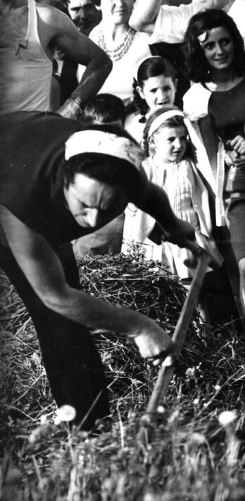 Maria Azeo sega apostuan.
