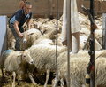 0719_aurkibidea1