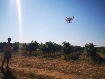 El dron Phantom 4 sobrevuela un viñedo en Artaxoa.