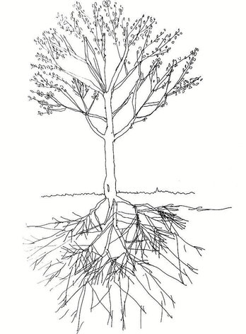 Ilustrazioa: ULA IRURETAGOIENA BUSTURIA