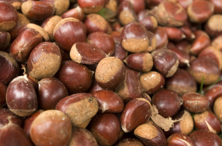 Gaztainak izango dira protagonistak Basaburuan asteburuan.