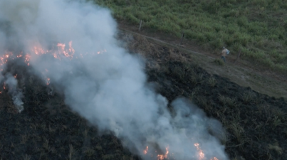 Captura_de_pantalla_2025-11-06_a_las_13.50.54