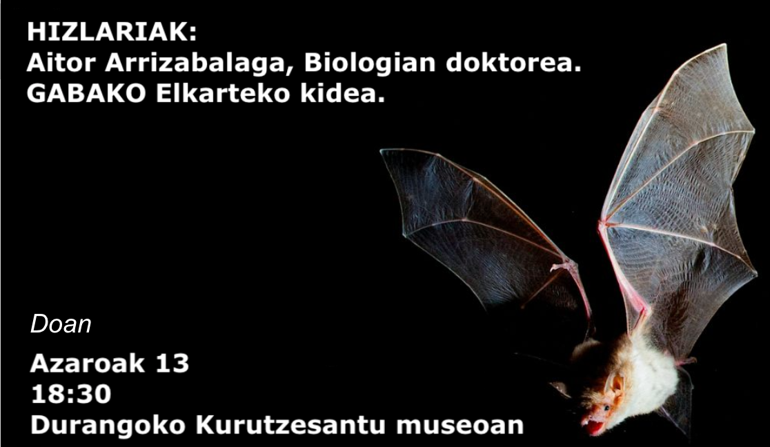 Saguzarrak ezagutzeko hitzaldia Durangon, Hontza Museoaren 10 urteurrenaren harira