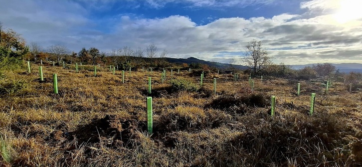 Lndaketa berriak Garaio parkean, Ondoriz aldean.