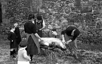 gara-2025-12-18-Noticia