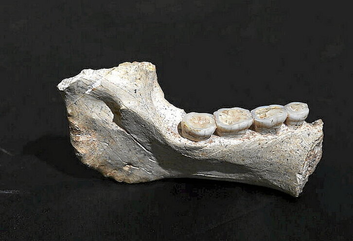 Jabel Irhoud aztarnategiko aurkikuntza bat.