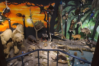 Hontza Museoa Mañarian dago kokatuta.