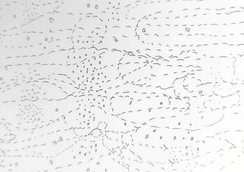 Ilustrazioa: ULA IRURETAGOIENA BUSTURIA