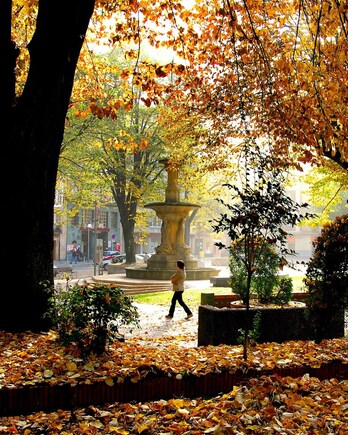 Babesleku klimatikoen sare bat sortzeko prozesua abiatu du Udalak.